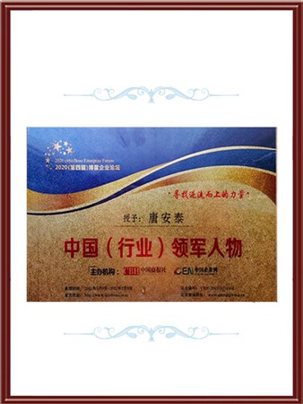 榮膺2020（第四屆）博鰲企業(yè)論壇 雙項(xiàng)大獎